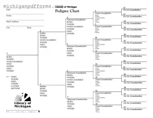 Free Michigan Pedigree Template in PDF