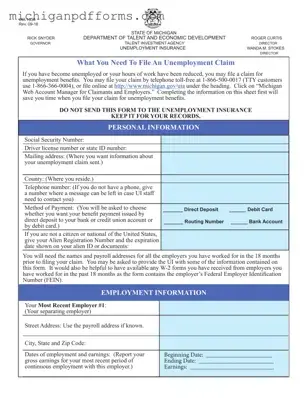 Free Michigan Uia 1538 Template in PDF